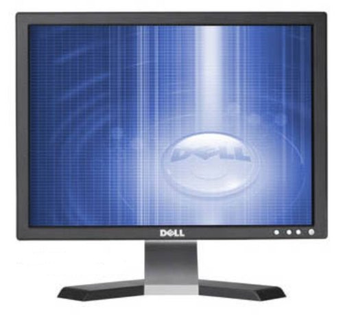 Dell 17" LCD Monitor
